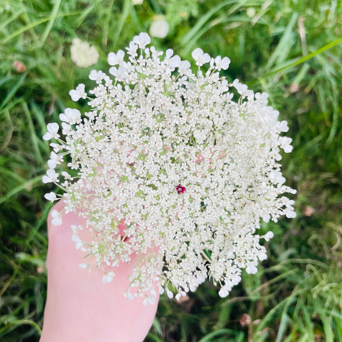 0.Washi Memo Pad - NORANINJIN